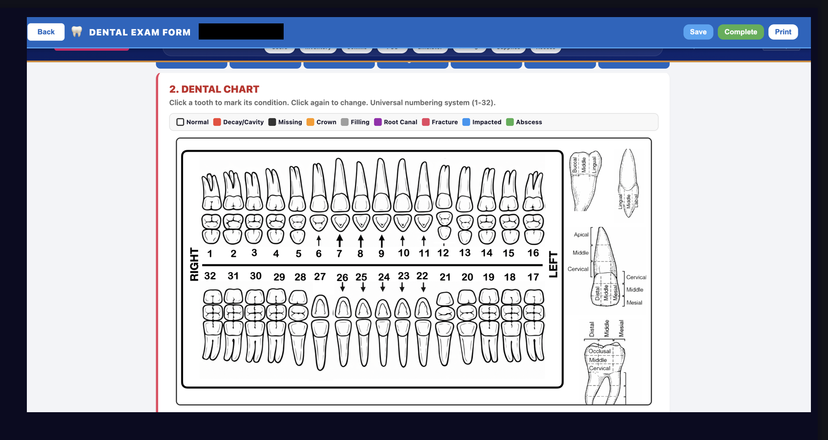 Dental Chart and Exam